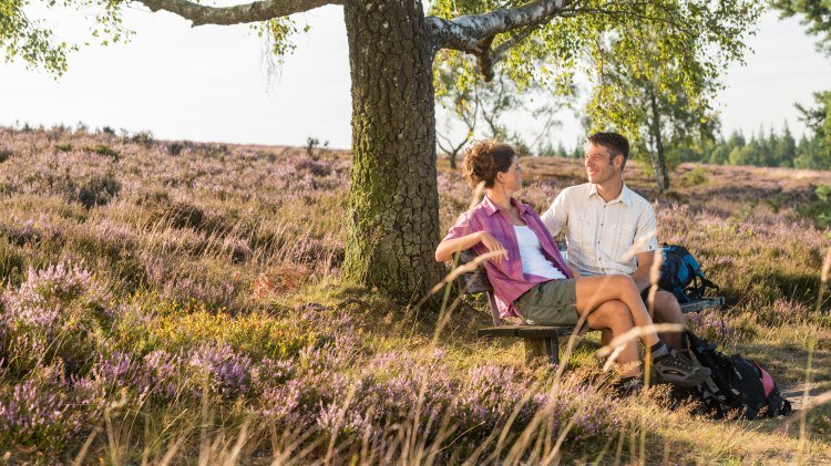 Brunsberg, © Lüneburger Heide GmbH / Dominik Ketz