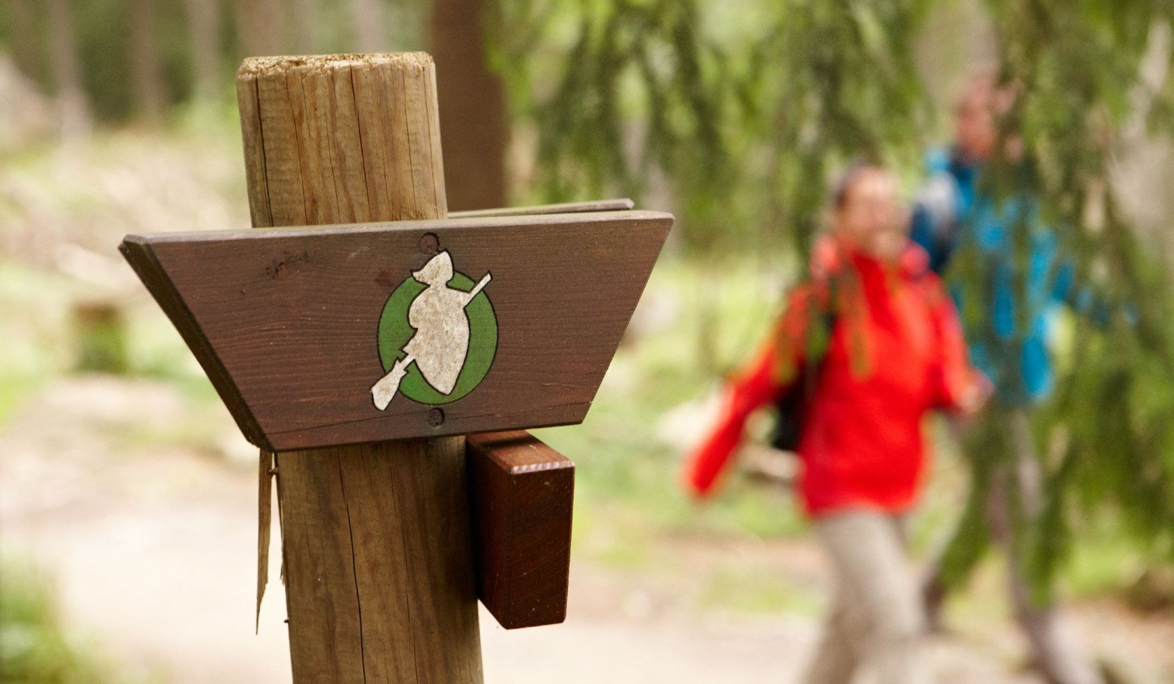 Harzer-Hexen-Stieg, © Harzer Tourismusverband / M.  Gloger