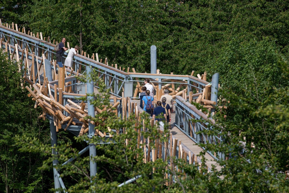 Bezoekers op de boomtop lopen Bad Iburg, © Tourismusverband Osnabrücker Land e.V. / Klaus Herzmann