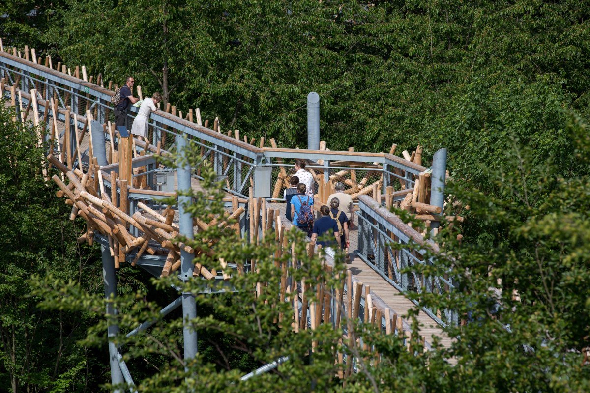 Bezoekers op de boomtop lopen Bad Iburg, © Tourismusverband Osnabrücker Land e.V. / Klaus Herzmann Bezoekers op de boomtop lopen Bad Iburg, © Tourismusverband Osnabrücker Land e.V. / Klaus Herzmann