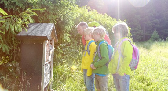 Wandelen in de Harz, © Stadtmarketing Bad Harzburg