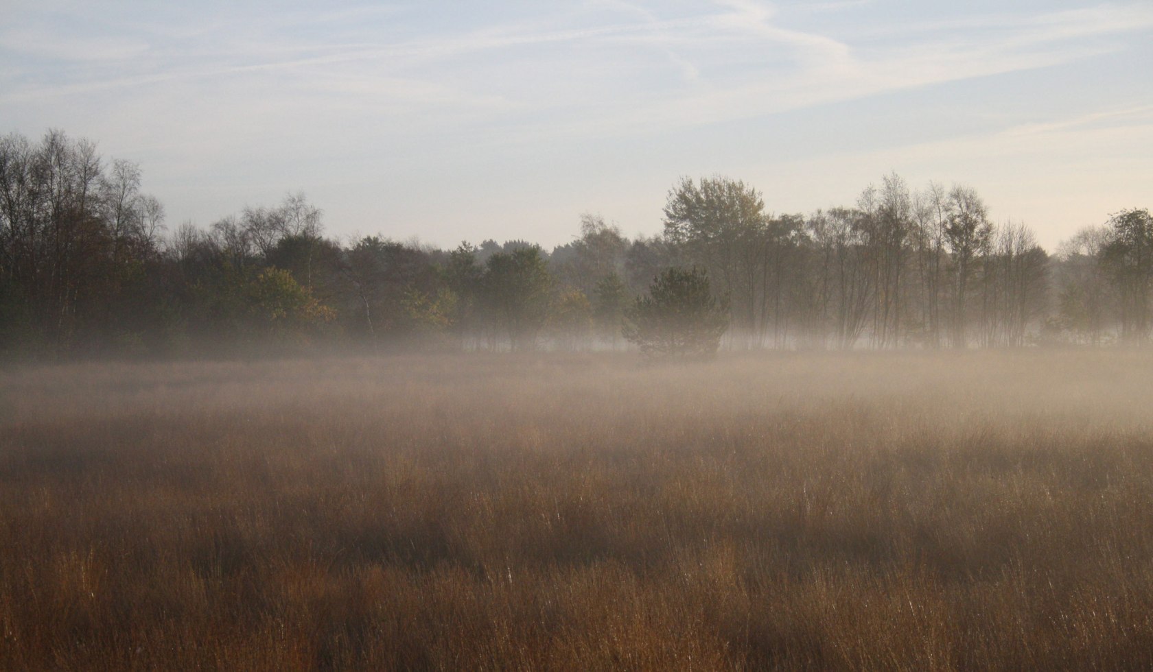 Mist in de hei bij Freistatt, © DümmerWeserLand-Touristik / Hans-Heinrich Kellner