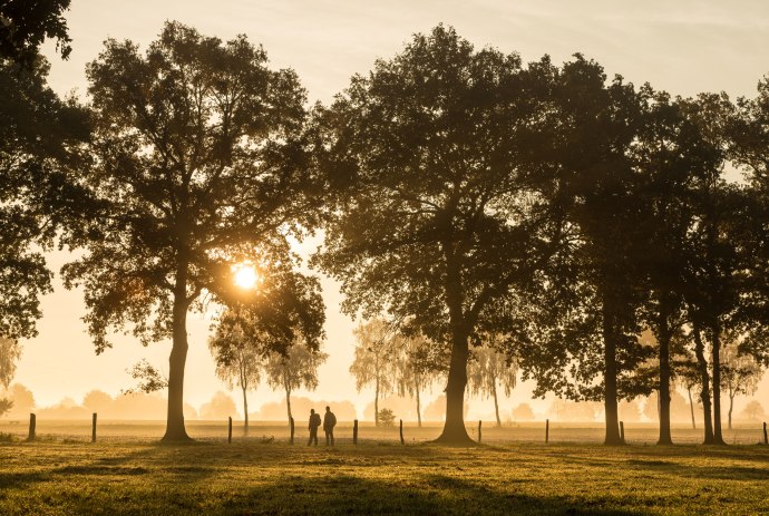 Wandelaar in de zonsondergang in een weg in Haußelberg, © Lüneburger Heider GmbH/ Dominik Ketz