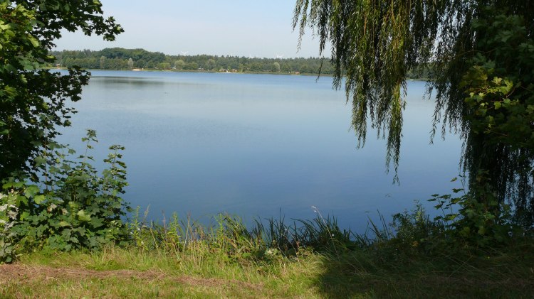 Dümmer See, © Tourismusverband Osnabrücker Land e.V.