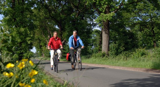 Fietser op laan, © Ammerland-Touristik / Tobias Trapp