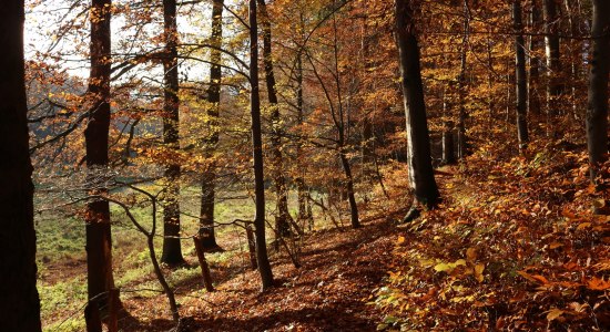 Waltersbachtal, © GeTour GmbH