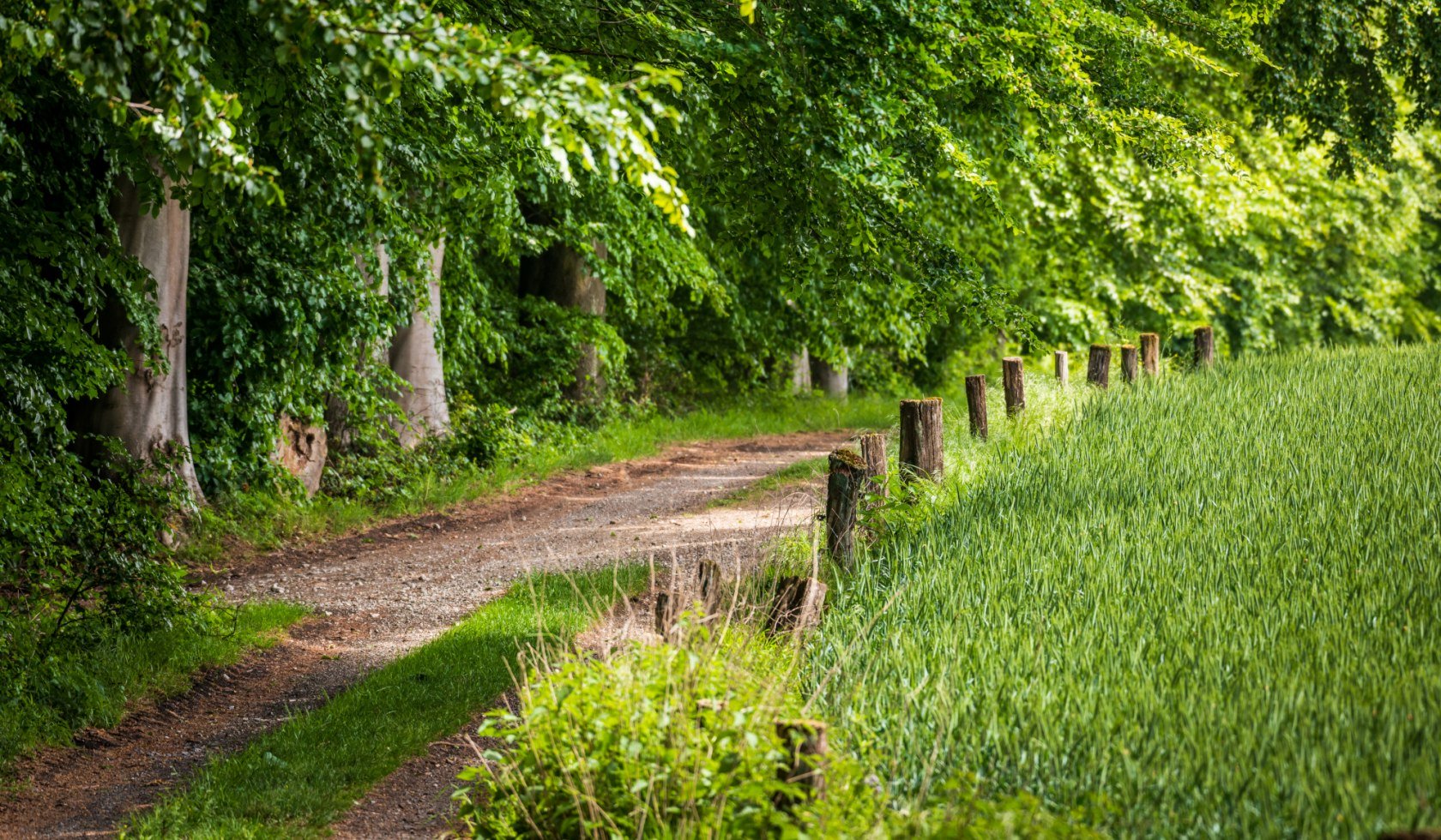 Wandelpad in het TERRA.vita Geopark, © TMN/Markus Tiemann