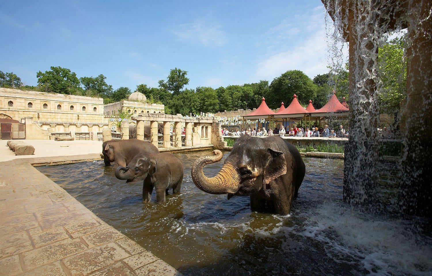 Dschungelpalast - Elefanten baden, © Zoo Hannover GmbH