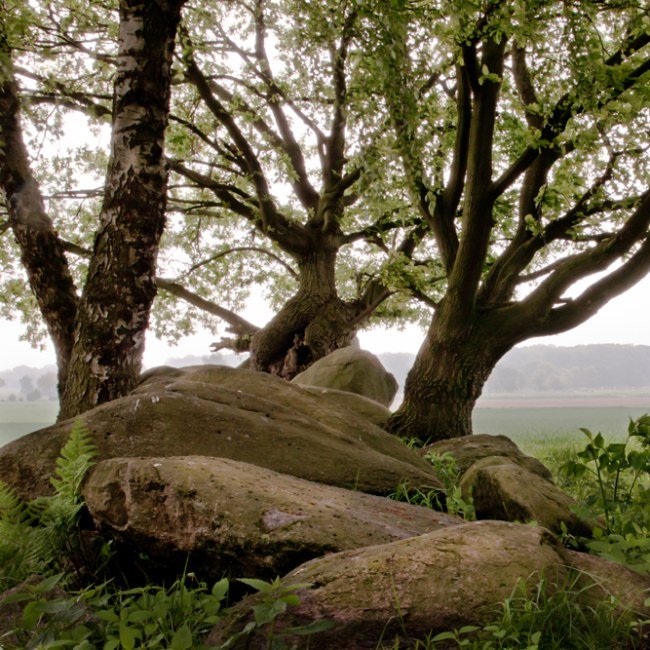 Natur- und Geopark TERRA.vita, © Natur- und Geopark TERRA.vita