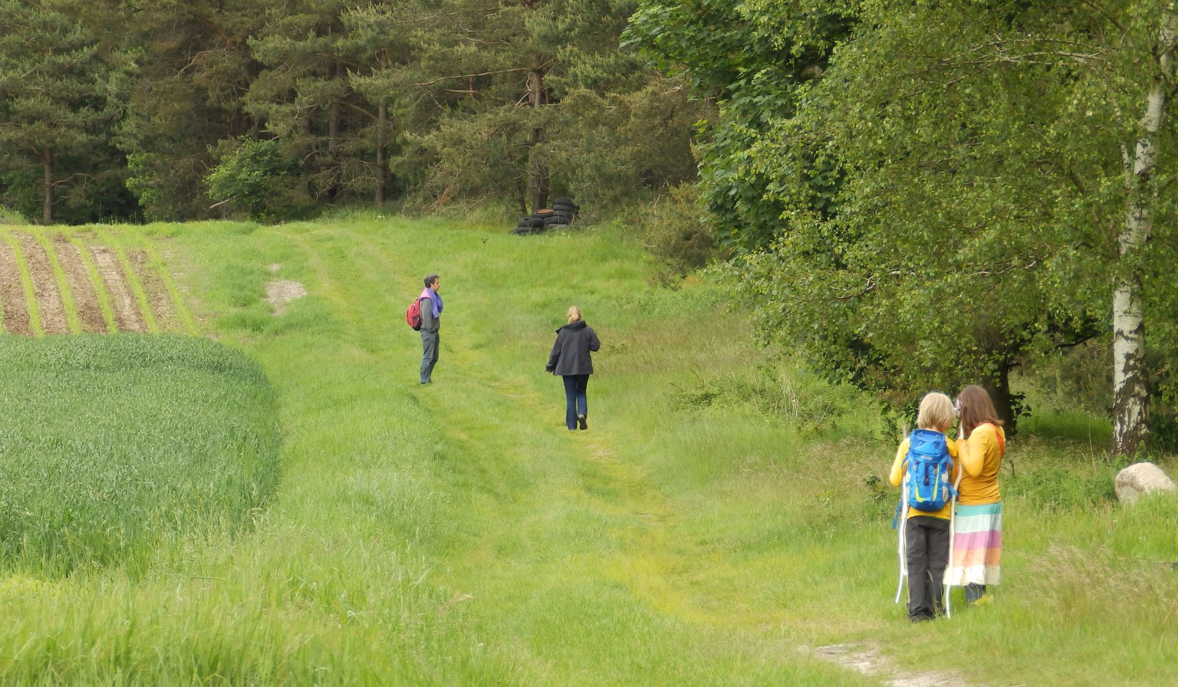 Wandelen, © Touristikverband Landkreis Rotenburg (Wümme)  e.V. / Udo Fischer