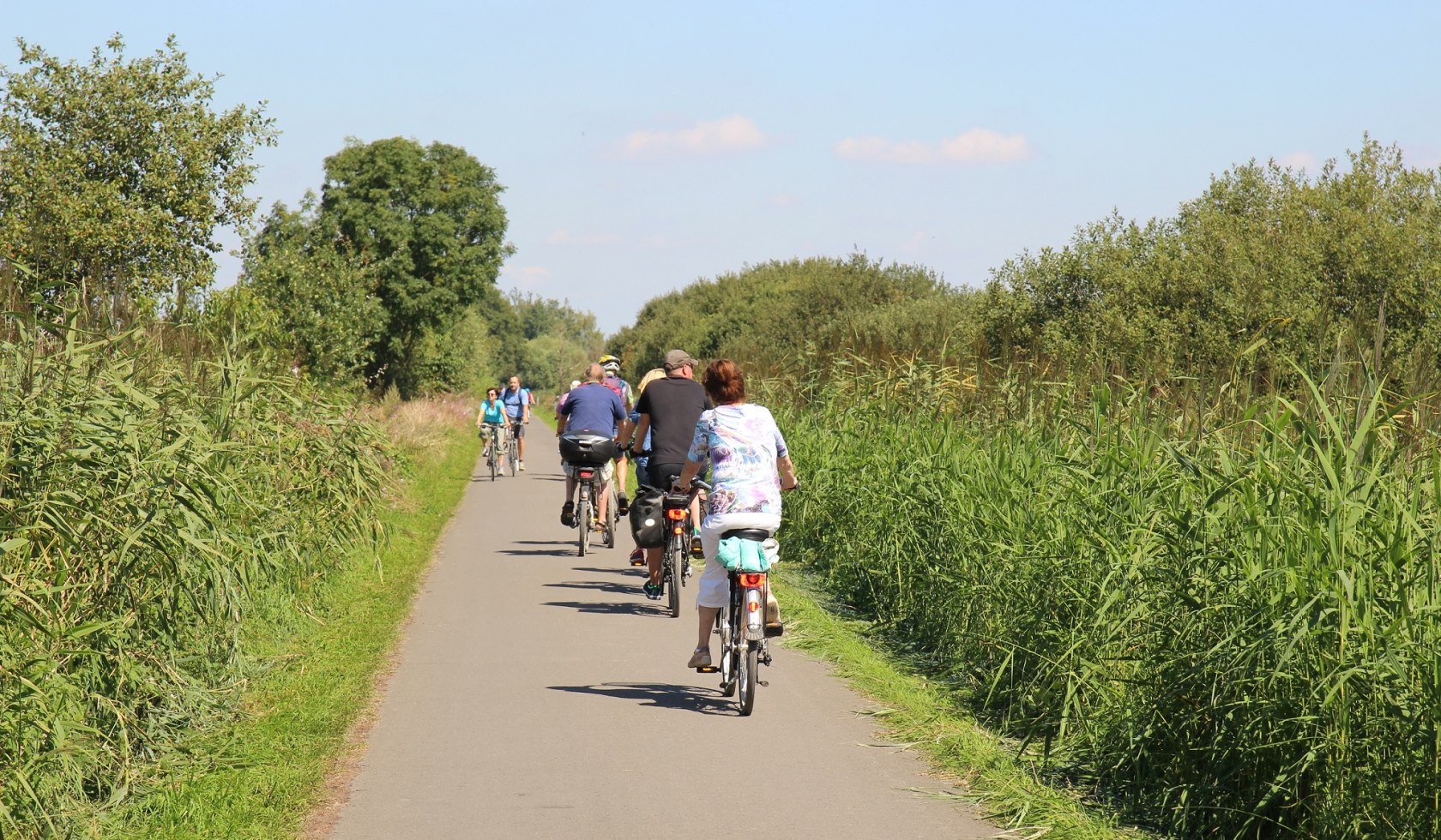 Steinhuder Meer Rundweg, © Naturpark Steinhuder Meer, Region Hannover / Maren Lachmund