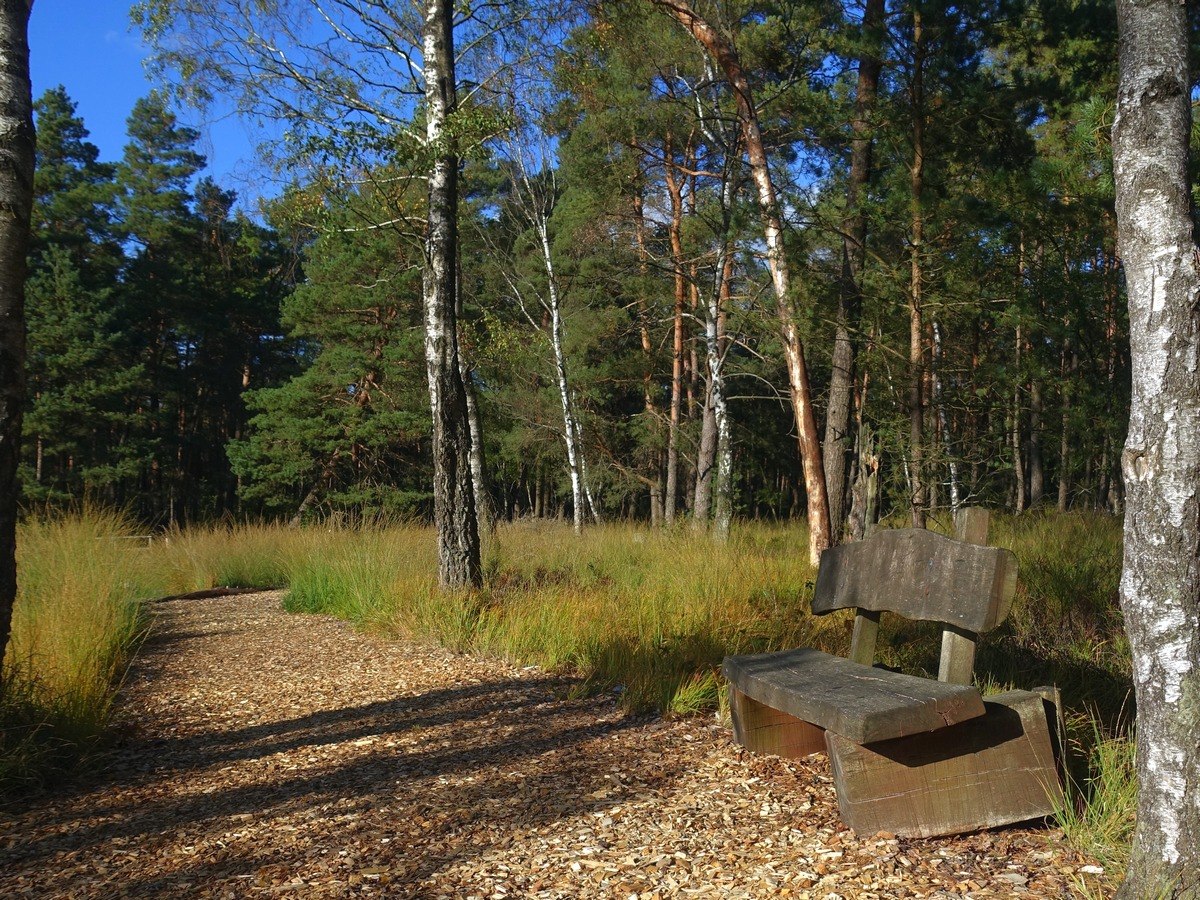 Wandelbankje, © TourismusMarketing Niedersachsen GmbH/Wanda Catsman