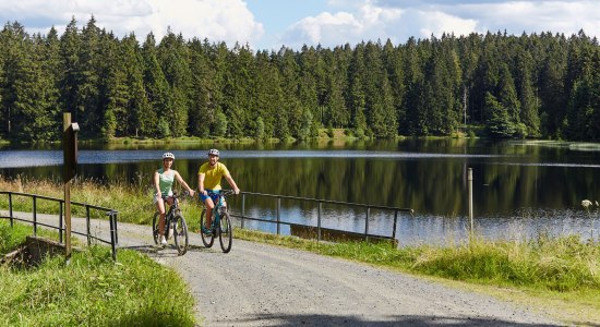 Mountainbikers bij de Fortuner-vijver, © Harzer Tourismusverband / Marcus Gloger