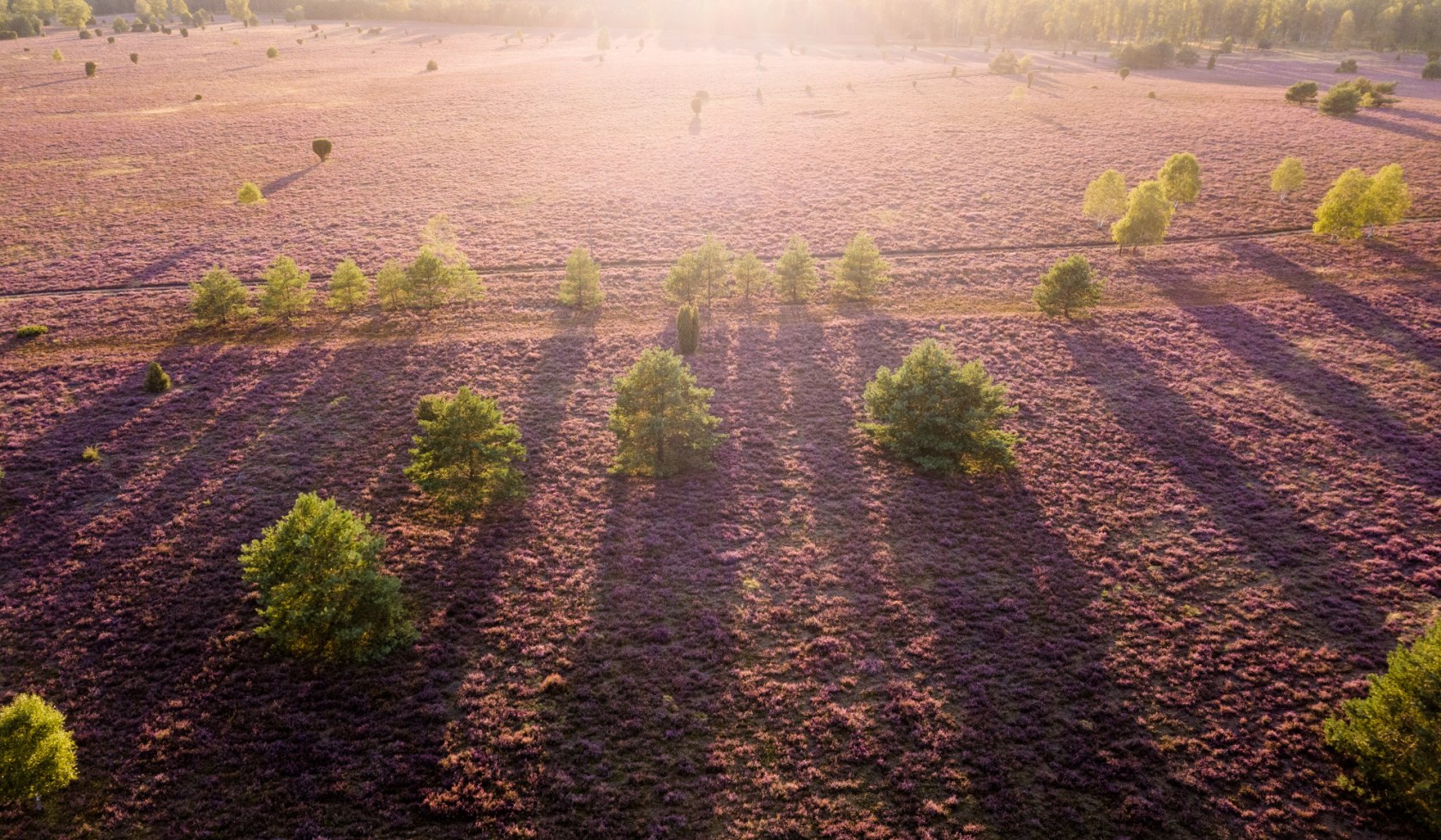 Luchtfoto van Oberoher Heide, © Lüneburger Heide GmbH