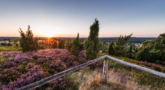 Wilseder Berg, © Lüneburger Heide GmbH/ Markus Tiemann