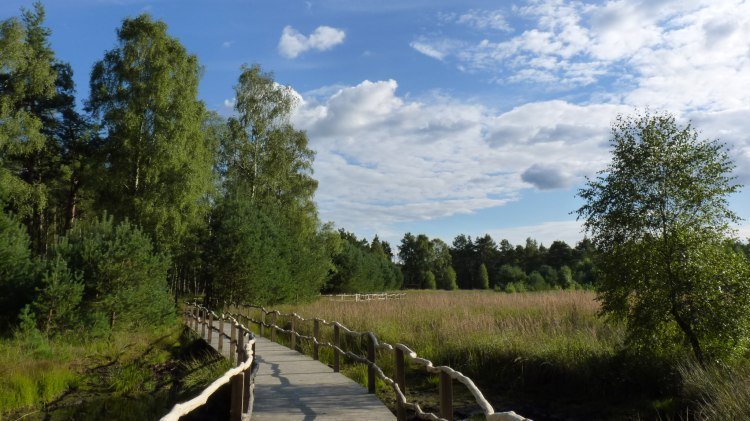 Voetgangersbrug door de Dör't Moor, © Touristikverband Landkreis Rotenburg (Wümme)