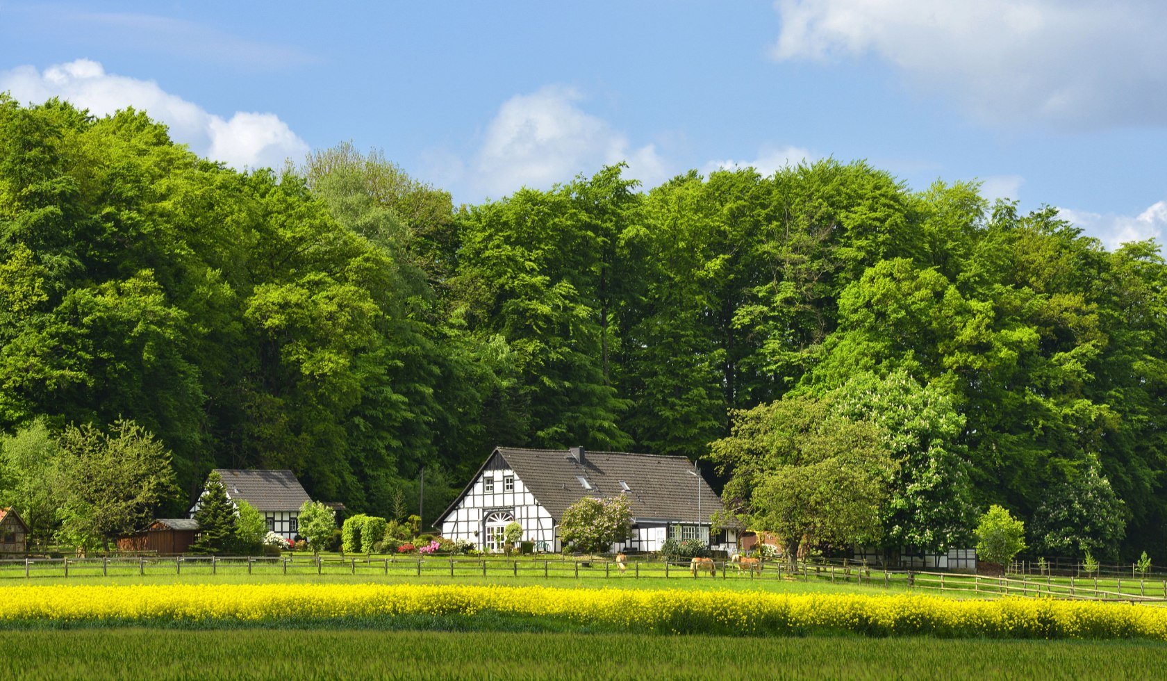 Fachwerkhof, © Tourismusverband Osnabrücker Land / Dieter Schinner