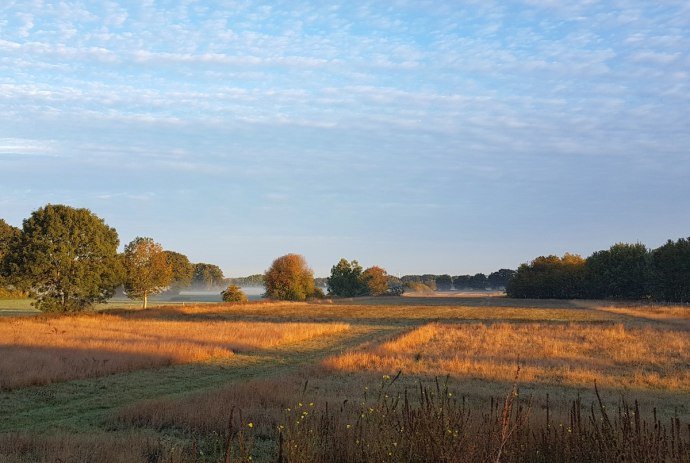 Nordpfad goedemorgen, © TourismusMarketing Niedersachsen GmbH/Wanda Catsman