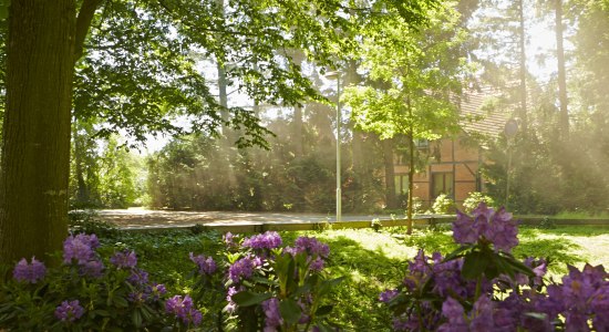 Grafschaft Bentheim, © Grafschaft Bentheim Tourismus / Rudi Schubert