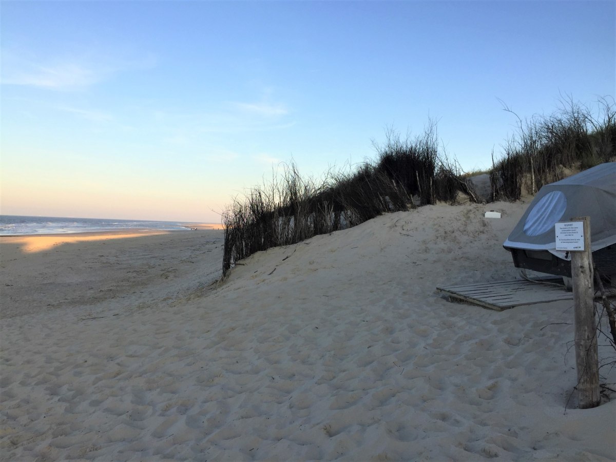 slaapstrandstoel op Wangerooge 2, © TourismusMarketing Niedersachsen GmbH