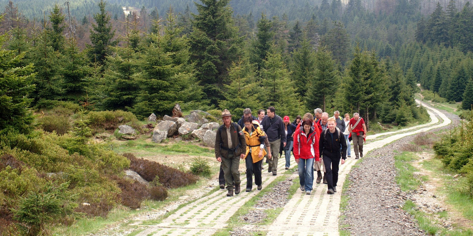 Am Kolonnenweg, © Harzer Tourismusverband