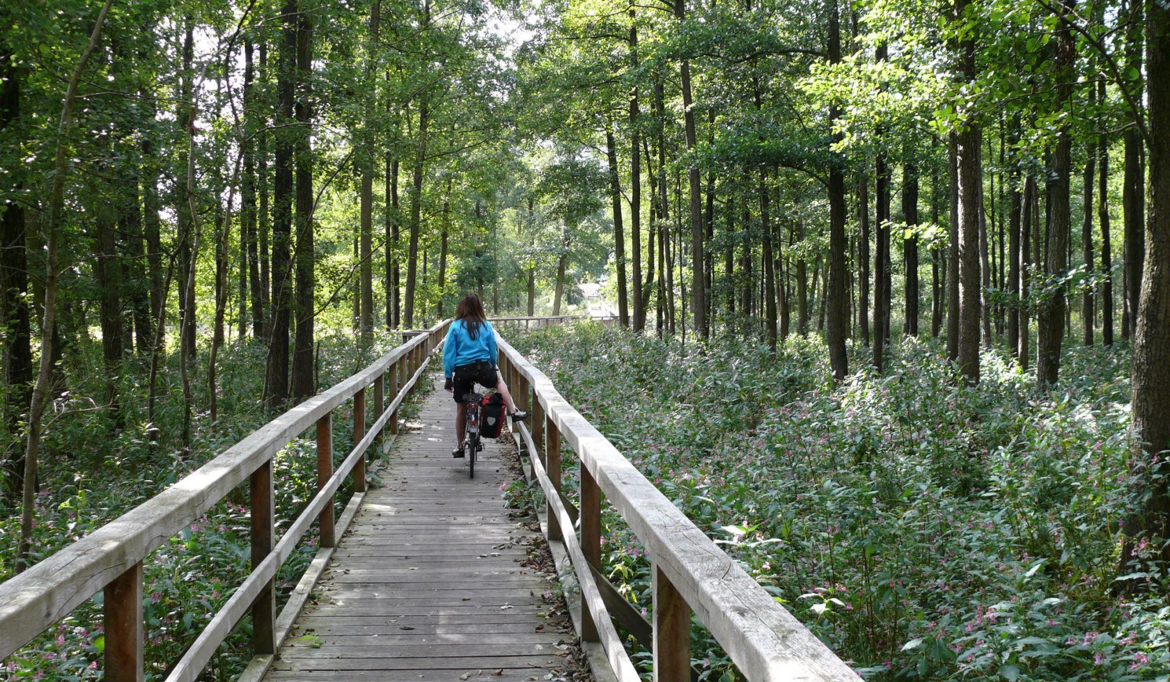 Brückenradweg-Amerikabrücke, © Tourismusverband Osnabrücker Land e.V.