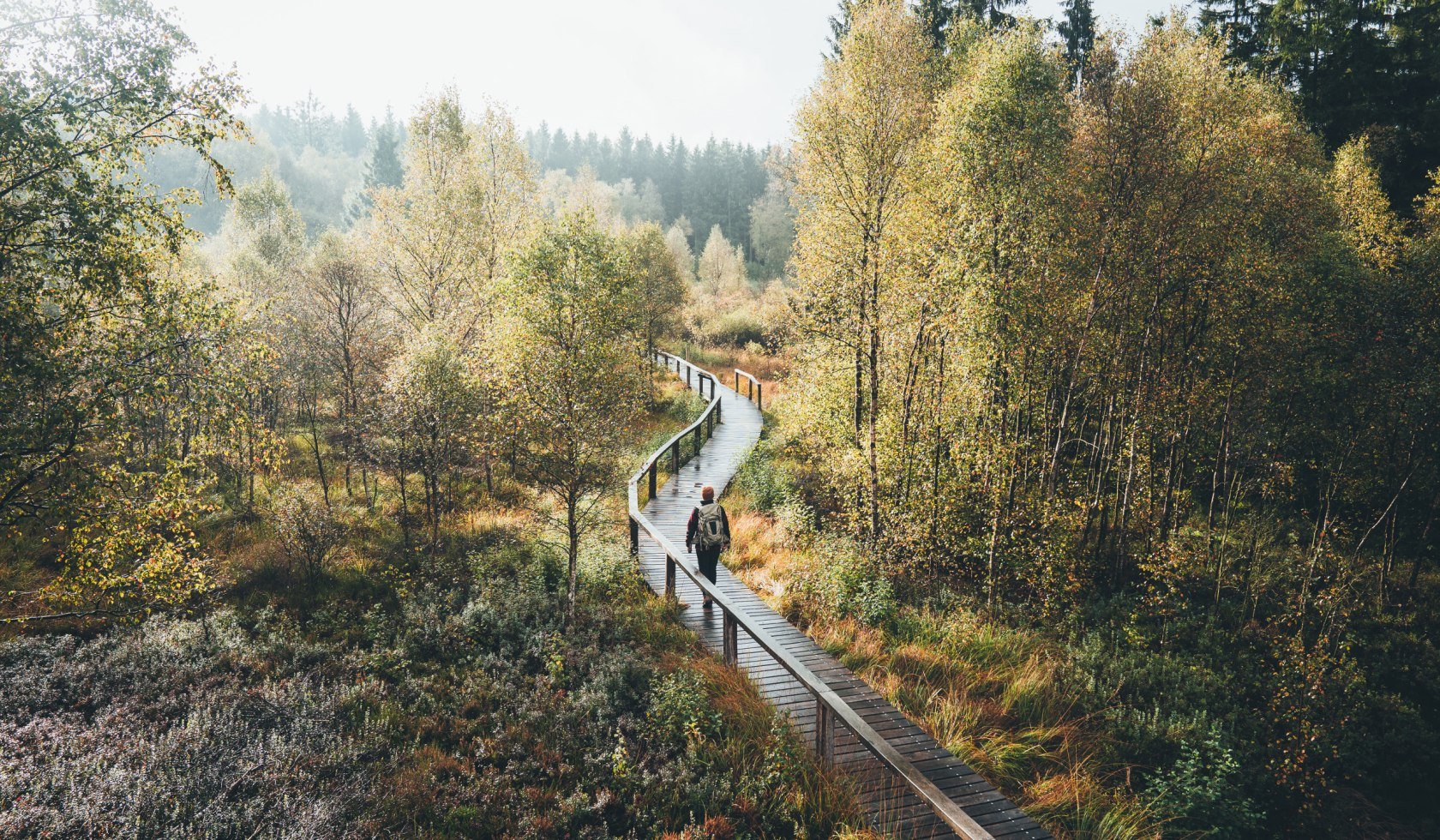 Wandelaars in het natuurpark Solling Vogler, © TourismusMarketing Niedersachsen GmbH / German Roamers / Johannes Becker