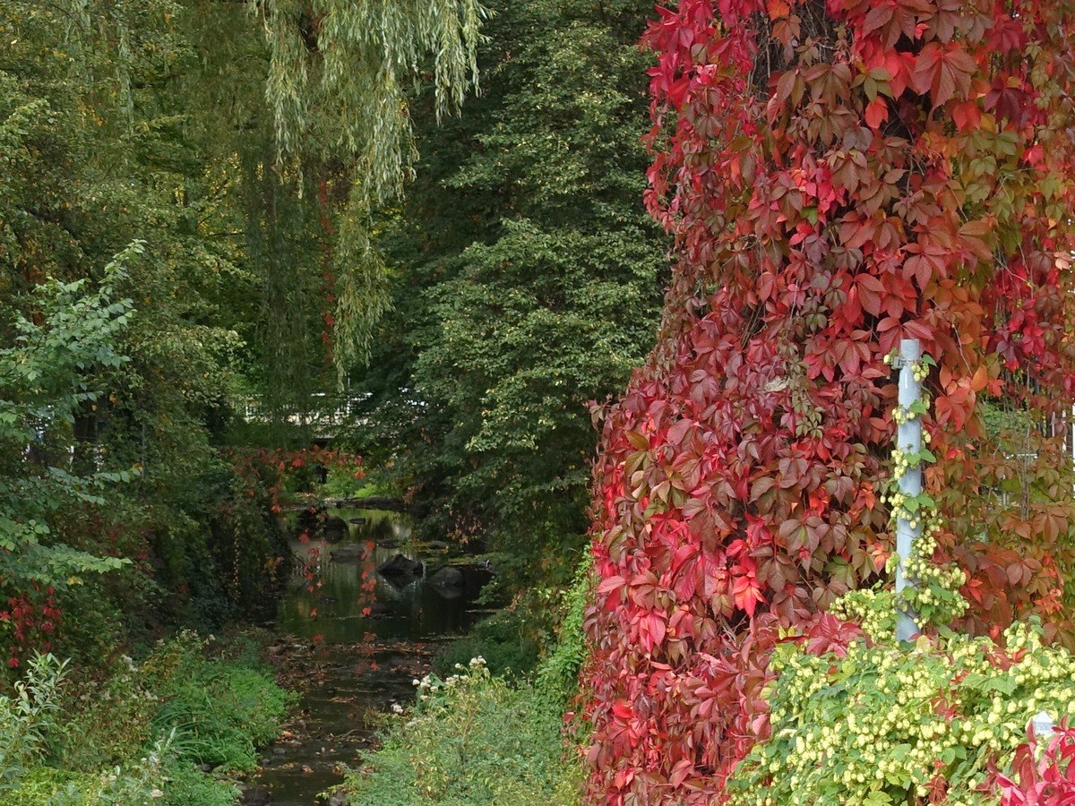 Rivier rotenburg, © TourismusMarketing Niedersachsen GmbH/Wanda Catsman