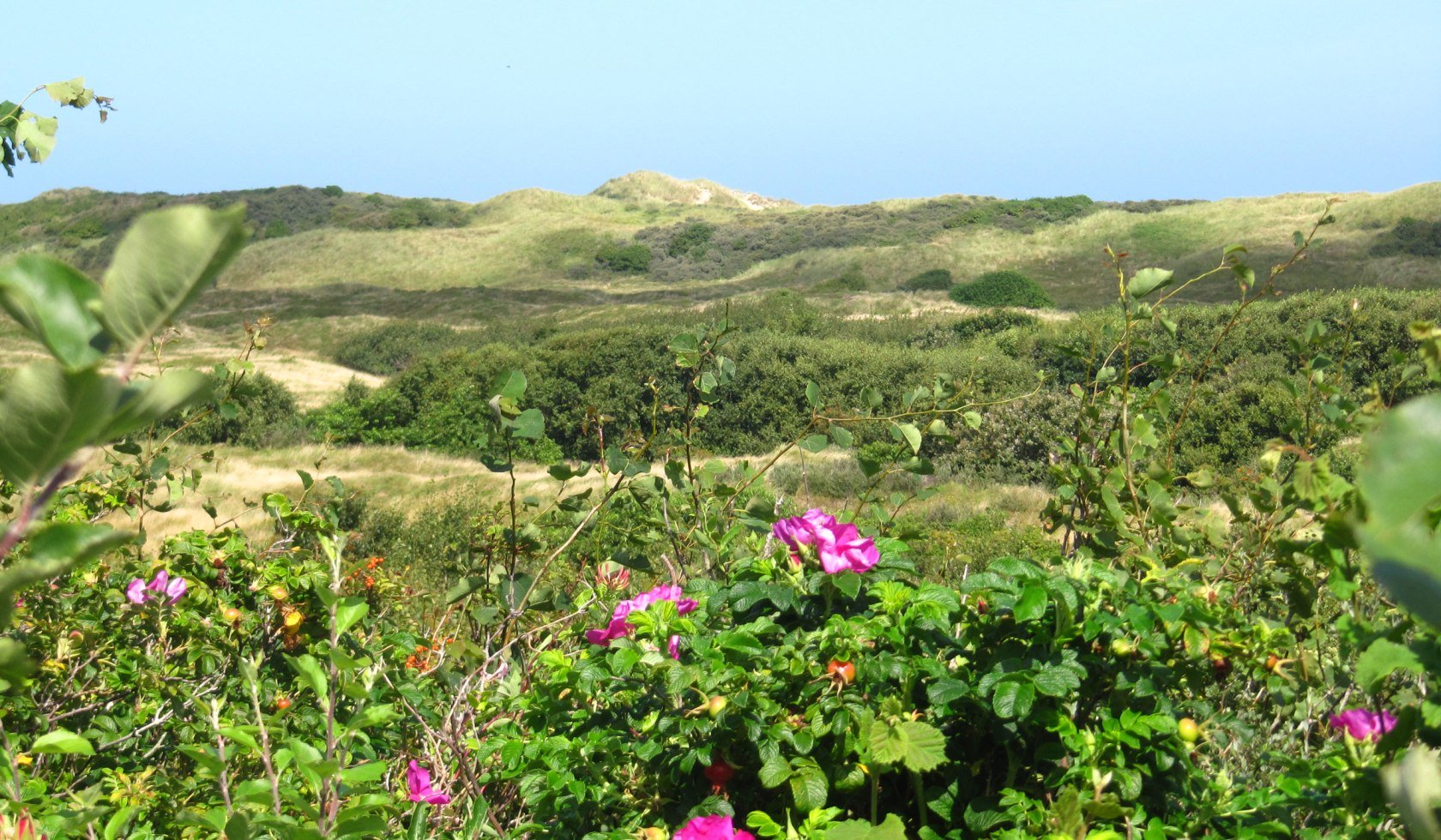 dijken en duinen, © Ostfriesland Tourismus GmbH / www.ostfriesland.de