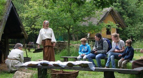 Bronzezeithof (Bronstijdboerderij) Uelsen, © Bronzezeithof Uelsen