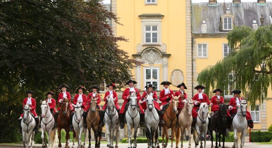 vor­ste­lij­ke hof­rij­school Büc­ke­burg, © Fürstliche Hofreitschule