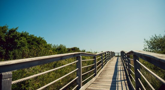 Brücke Otto Leege Pfad Juist, © Kurverwaltung Juist / KV Juist