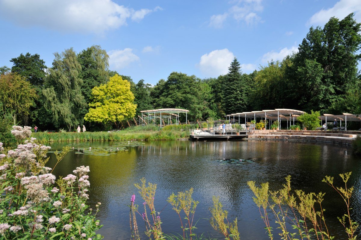 Pergola aan het meer in het kuurpark van Bad Bevensen NL, © Nina Lüdemann Pergola aan het meer in het kuurpark van Bad Bevensen NL, © Nina Lüdemann