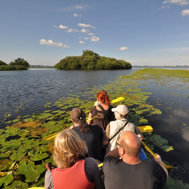 Kanovaren op de Dümmer, © DümmerWeserLand-Touristik/ Oliver Lange