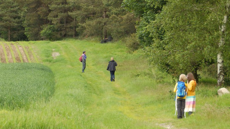 Wandelen, © Touristikverband Landkreis Rotenburg (Wümme)  e.V. / Udo Fischer