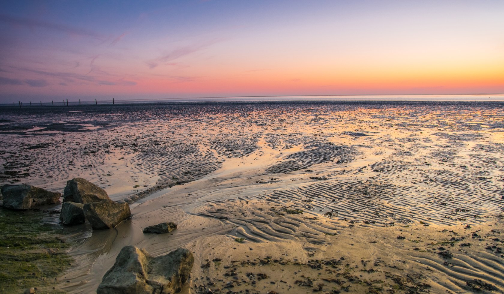 Watts noorddijk, © Tourismus-Service Norden-Norddeich / Angelika Erdmann