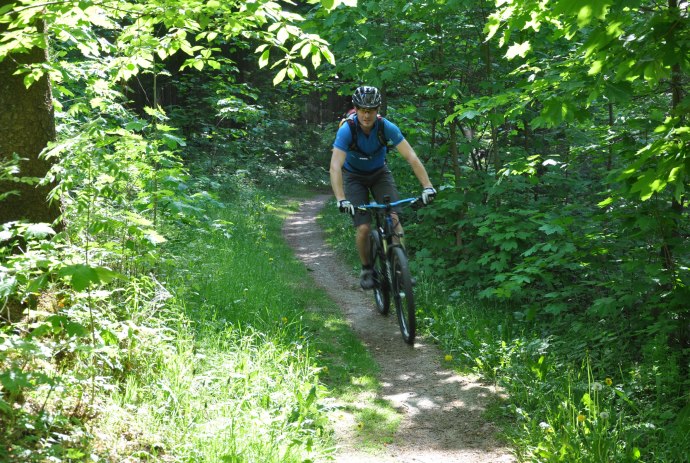 Mountainbikers in Solling-Vogler onderweg, © Solling-Vogler-Region