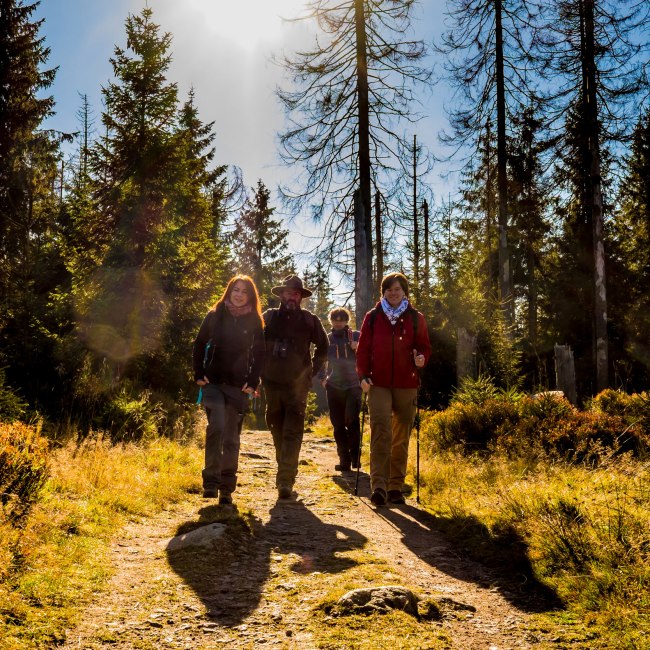 wandelen in de Nationaal park Harz, © Nationalpark Harz / dietrichkuehne.com