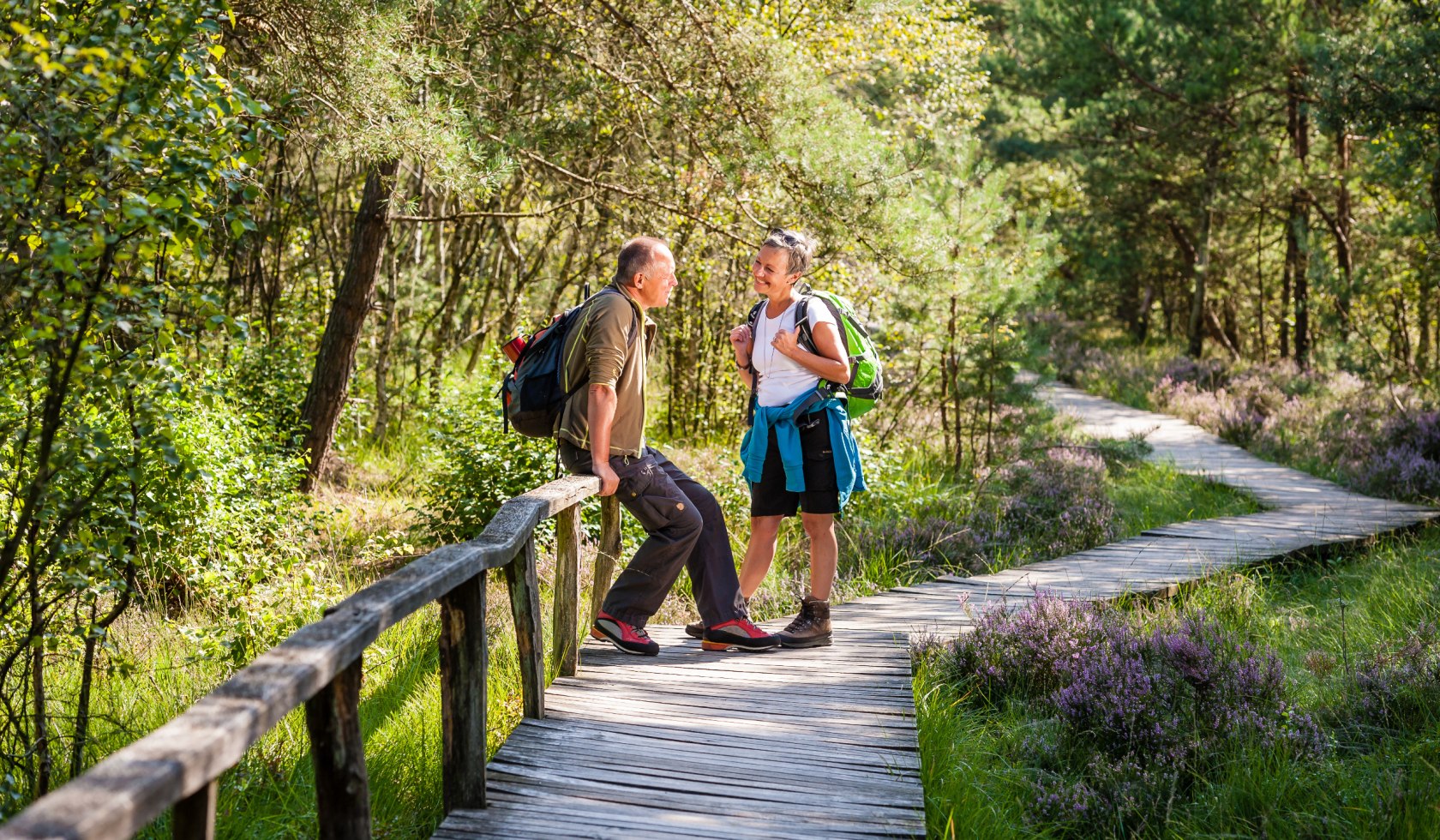 Pietzmoor, © Erlebniswelt LÜneburger Heide GmbH / Markus Tiemann