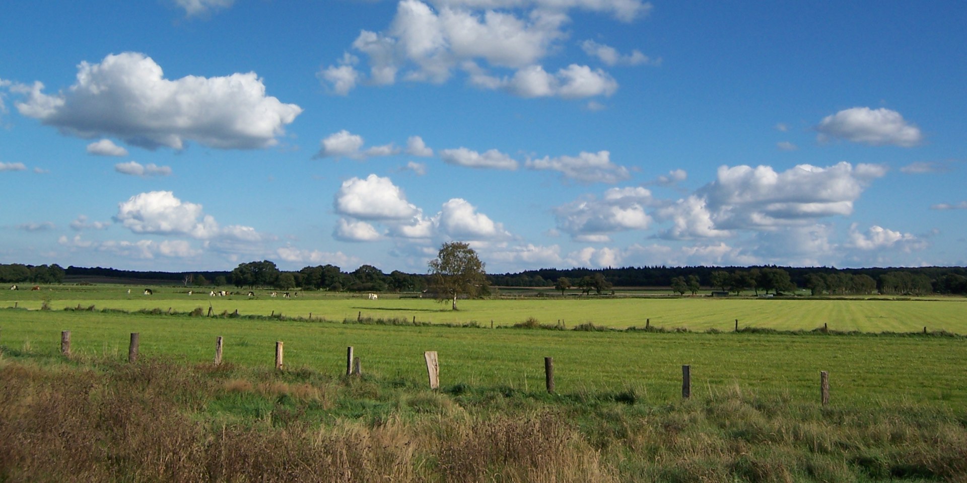 Wümme-Radweg, © Touristikverband Landkreis Rotenburg zwischen Heide und Nordsee e.V./ P. Welz