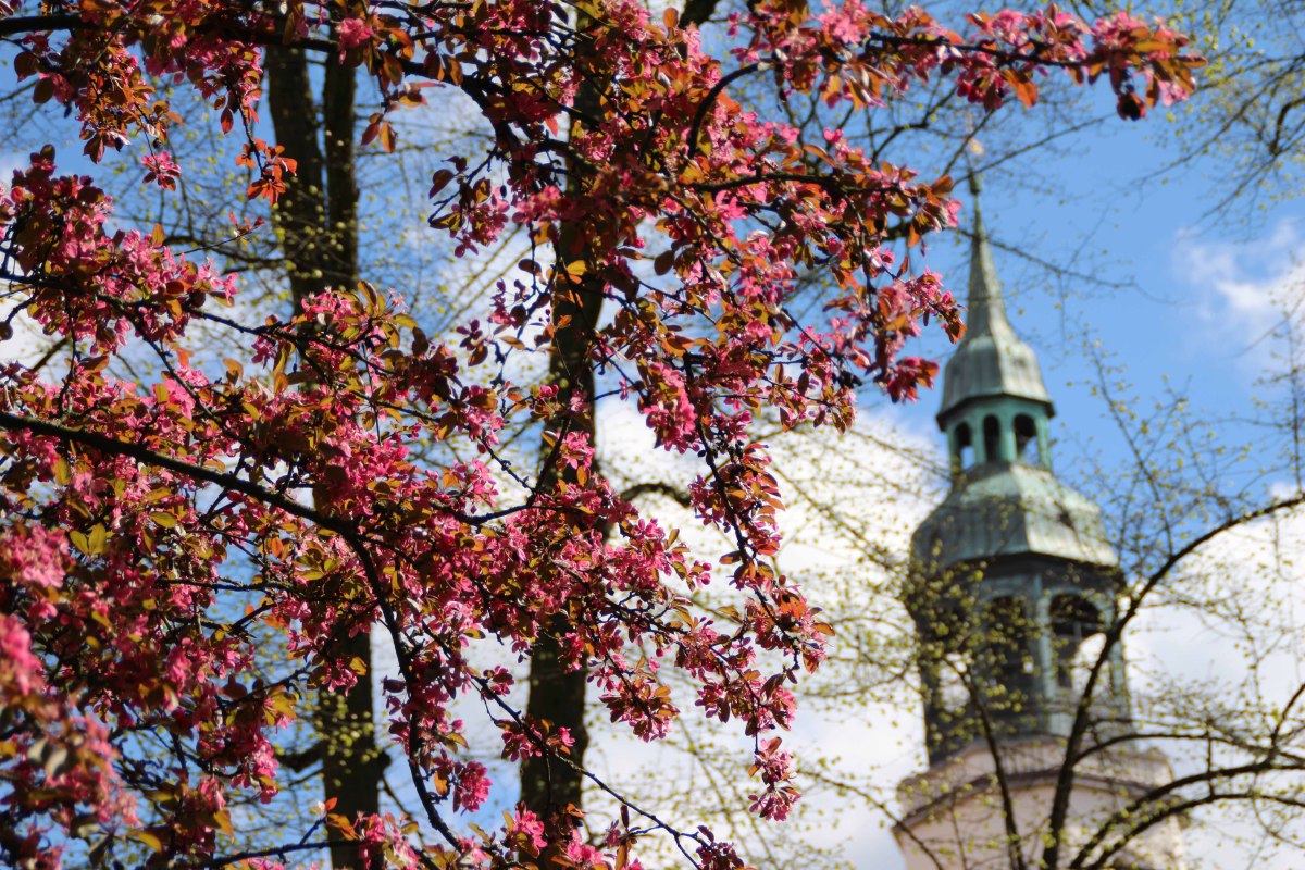 Celle, © Celle Tourismus und Marketing GmbH / K. Behre