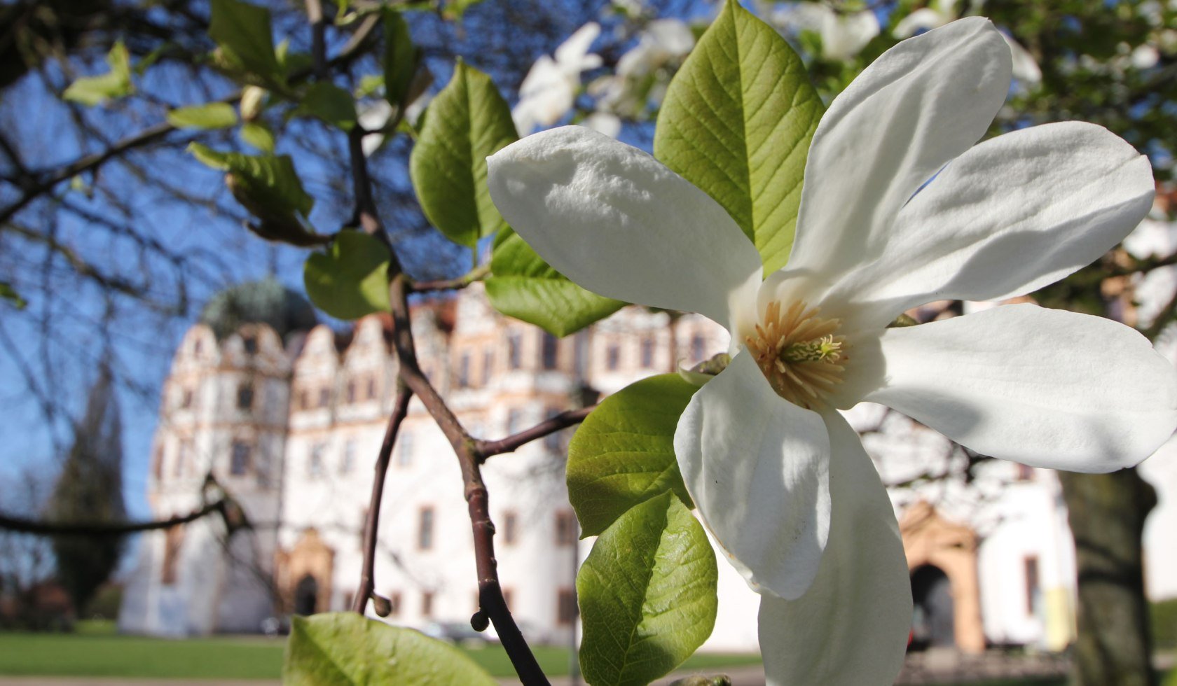 © Celle Tourismus und Marketing GmbH	/ K. Behre