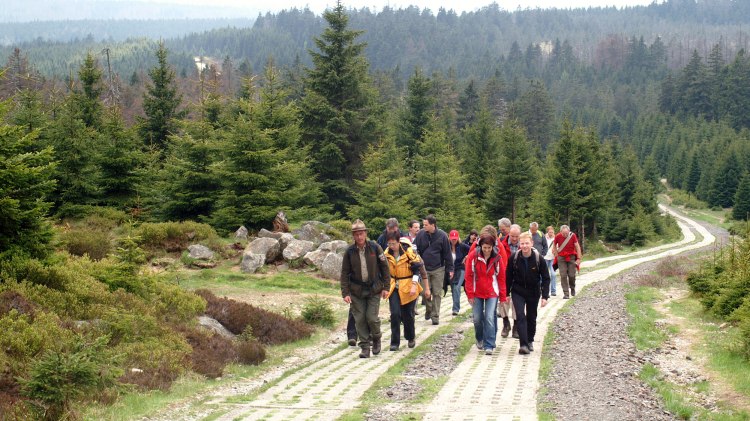 Am Kolonnenweg, © Harzer Tourismusverband