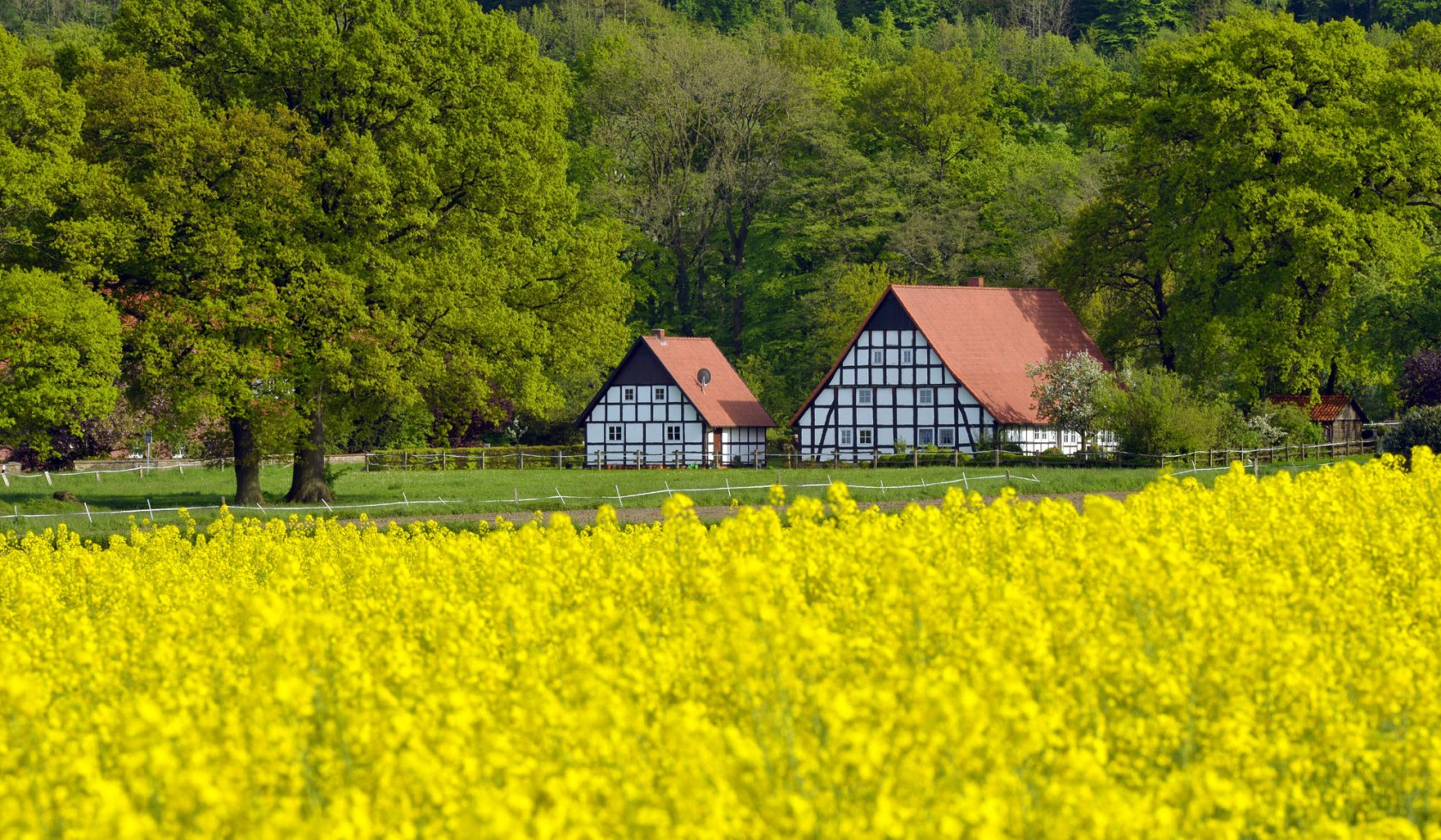 Heuvelachtig landschap met vakwerkhuizen in het Wiehengebirge bij Ostercappeln-Venne, © Tourismusverband Osnabrücker Land e.V./ Dieter Schinner