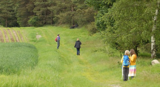 Wandelen, © Touristikverband Landkreis Rotenburg (Wümme)  e.V. / Udo Fischer