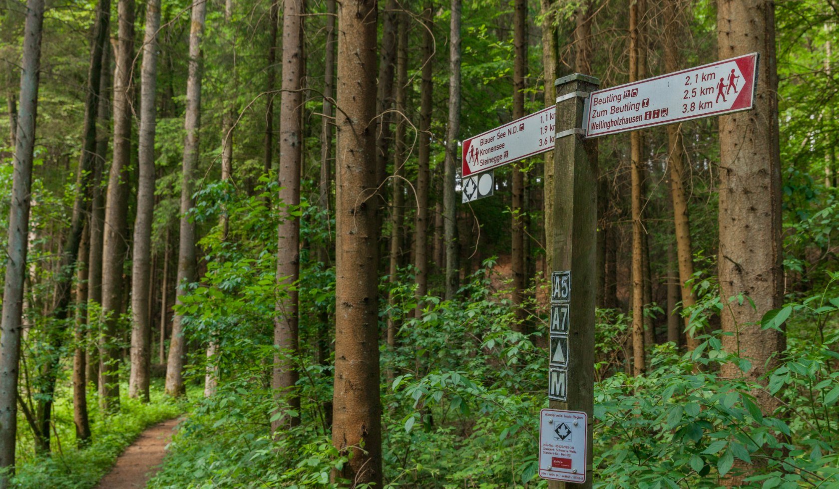 Ahornweg, © TMN / Markus Balkow