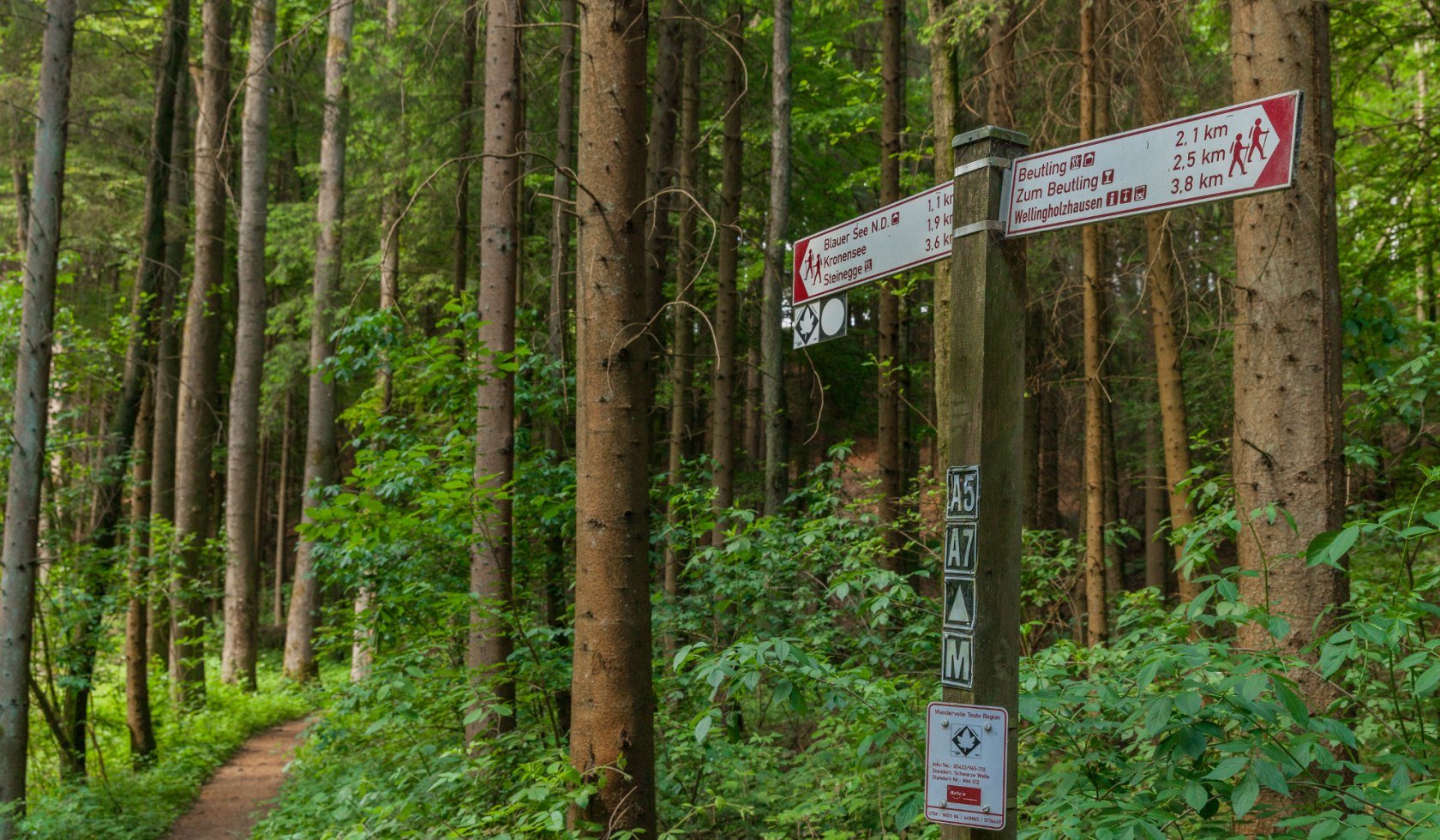 Ahornweg, © TMN / Markus Balkow