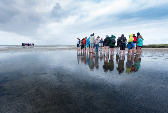 Wadlopen, © Kurverwaltung Wangerooge/ Kees van Surksum