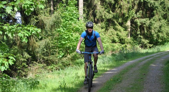 Mountainbiken, © Solling-Vogler-Region