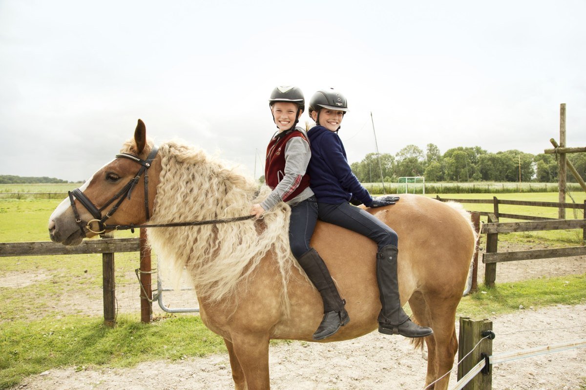 Twee kinderen op één paard, © Familotel Frieslandstern Twee kinderen op één paard, © Familotel Frieslandstern